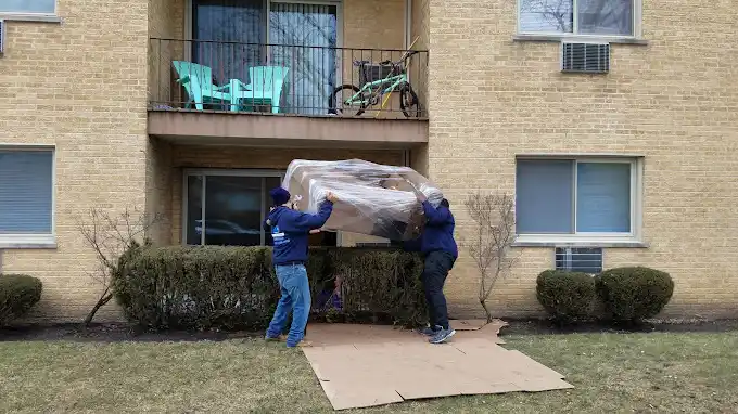 Experienced and Highly Dedicated Movers